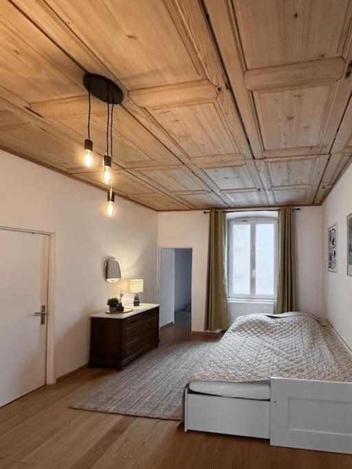 Hypercentre 80M2, A Deux Pas Du Chateau Des Rohan Saverne Exteriér fotografie