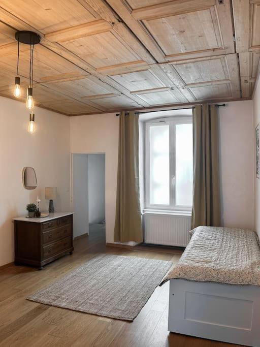 Hypercentre 80M2, A Deux Pas Du Chateau Des Rohan Saverne Exteriér fotografie