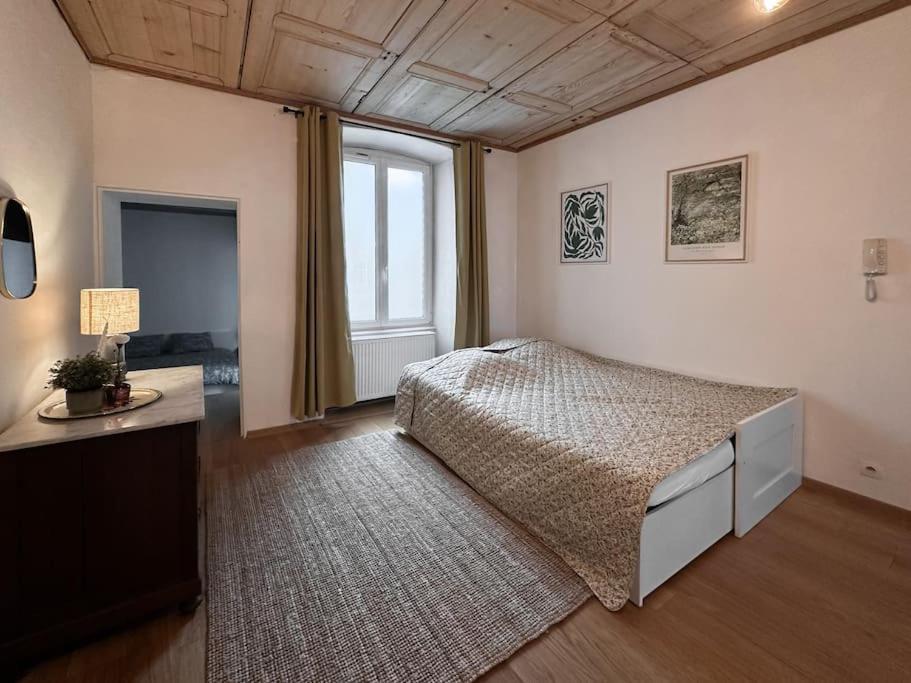 Hypercentre 80M2, A Deux Pas Du Chateau Des Rohan Saverne Exteriér fotografie